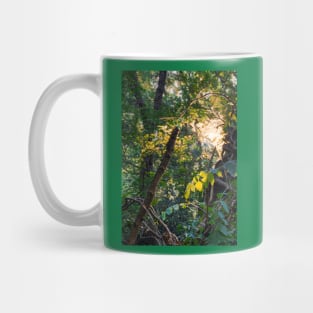 Branches Mug